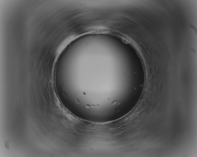 X0000102031488200807181338