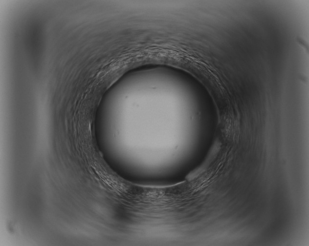 X0000102031489200807181337