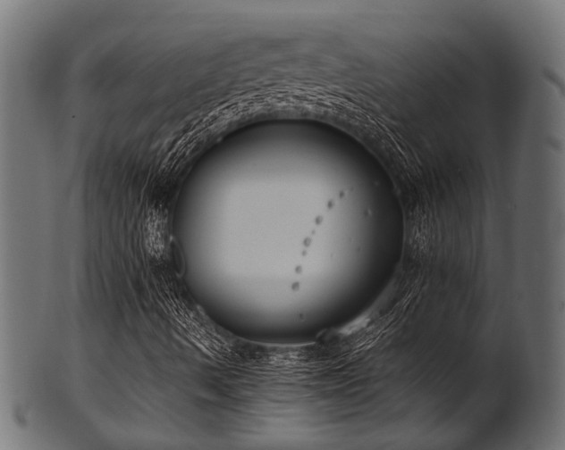 X0000102031490200807181337