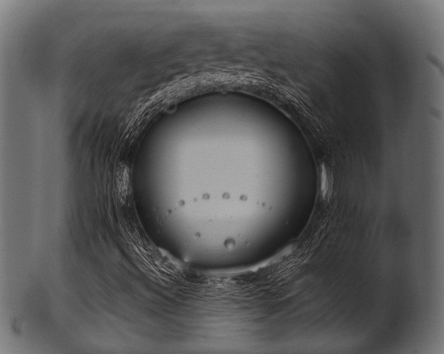 X0000102031492200807181337