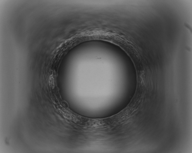 X0000102031493200807181337