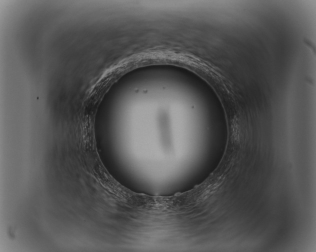 X0000102031494200807181337