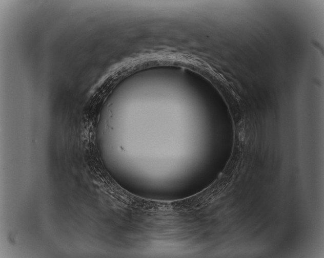 X0000102031495200807181337