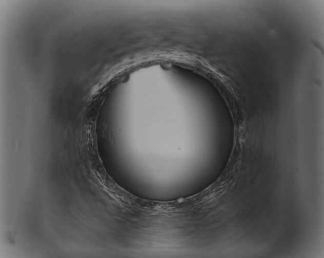 X0000102031496200807181337