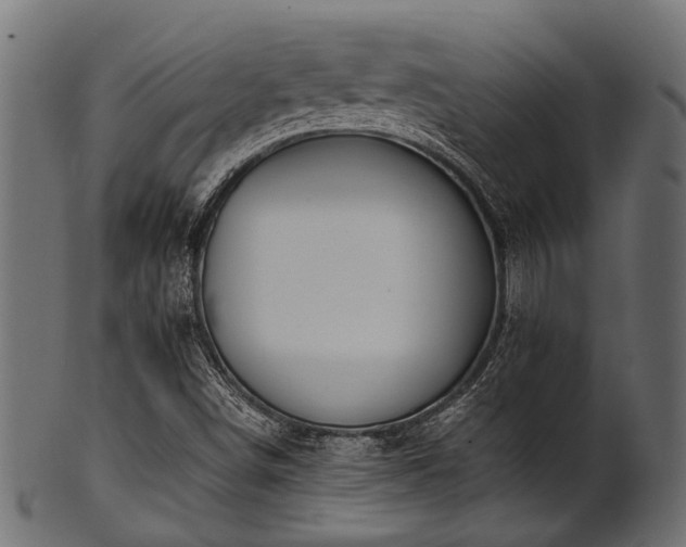 X0000102031498200807181337