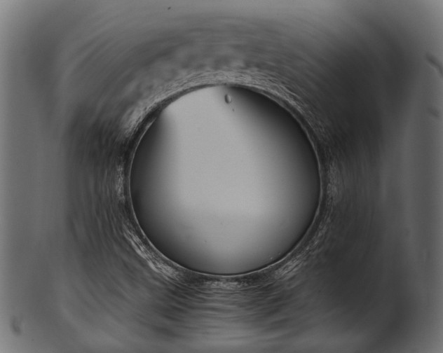 X0000102031499200807181337