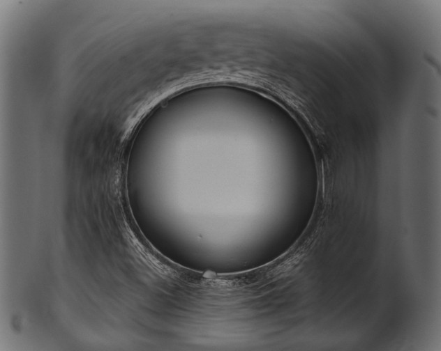 X0000102031500200807181337