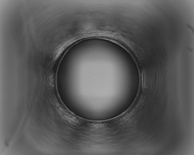 X0000102031501200807181337