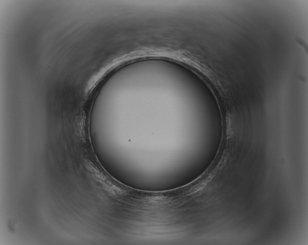 X0000102031502200807181337