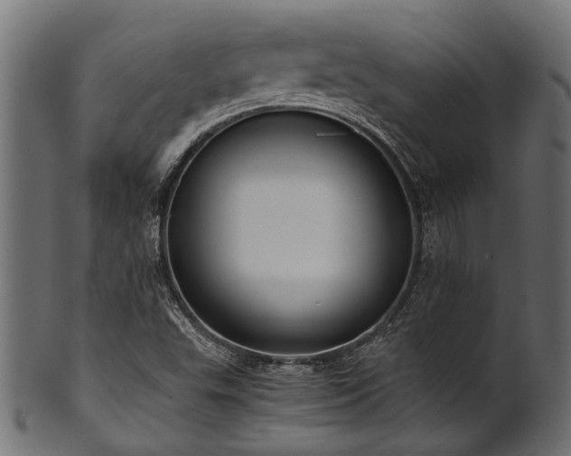 X0000102031503200807181337