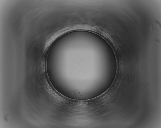 X0000102031504200807181337