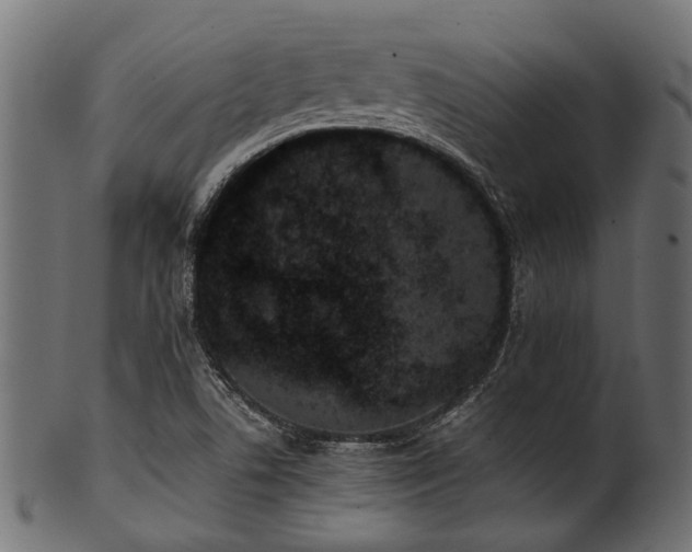 X0000102031506200807181337