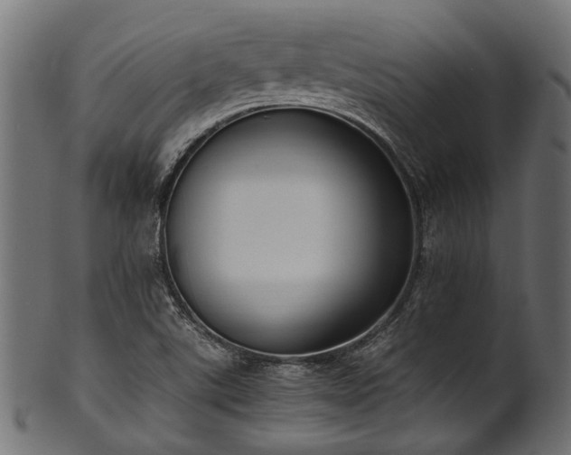 X0000102031507200807181337