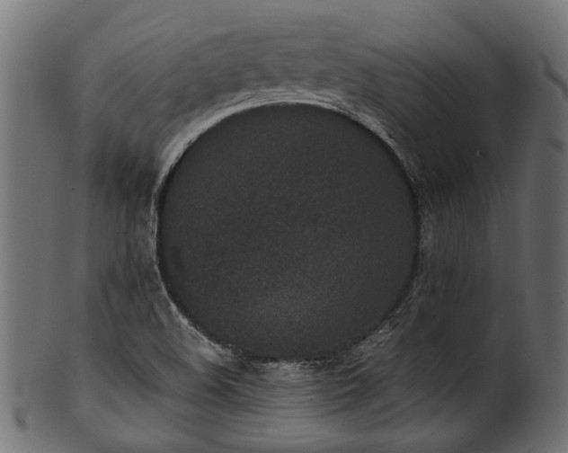 X0000102031508200807181337