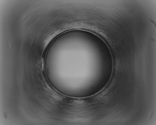 X0000102031509200807181337