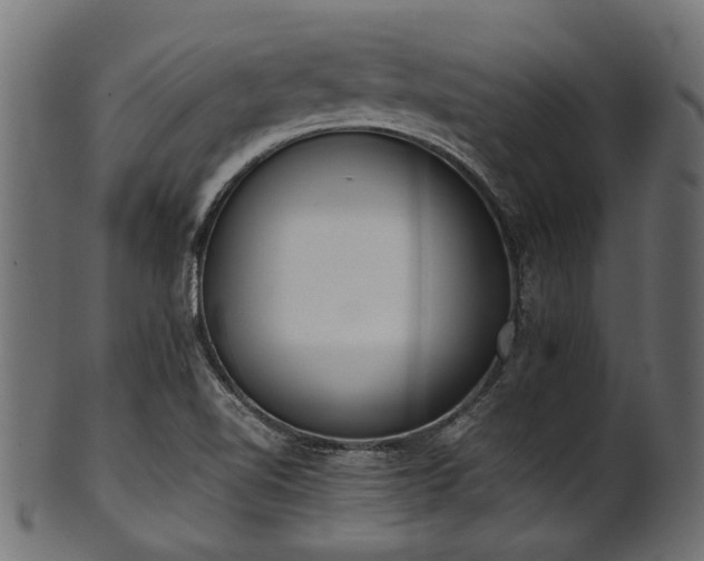 X0000102031510200807181337