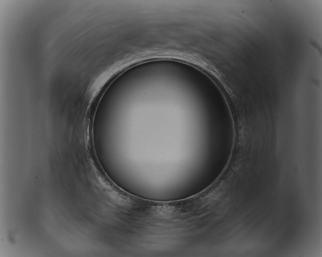 X0000102031511200807181337