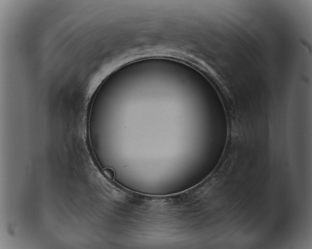 X0000102031512200807181337