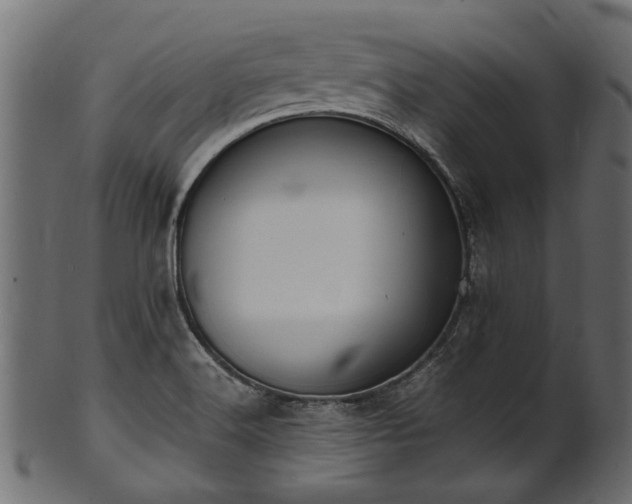 X0000102031516200807181338