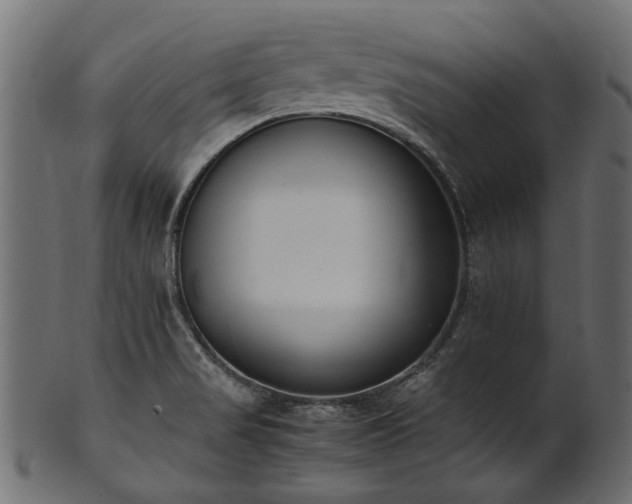 X0000102031517200807181338