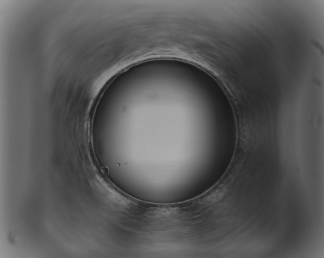 X0000102031519200807181338