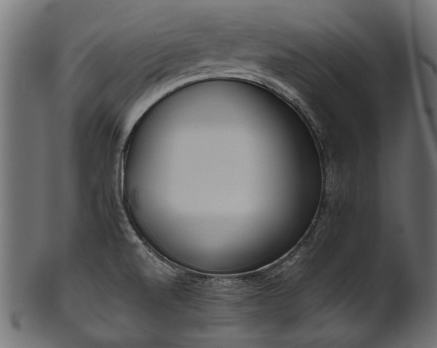 X0000102031520200807181338