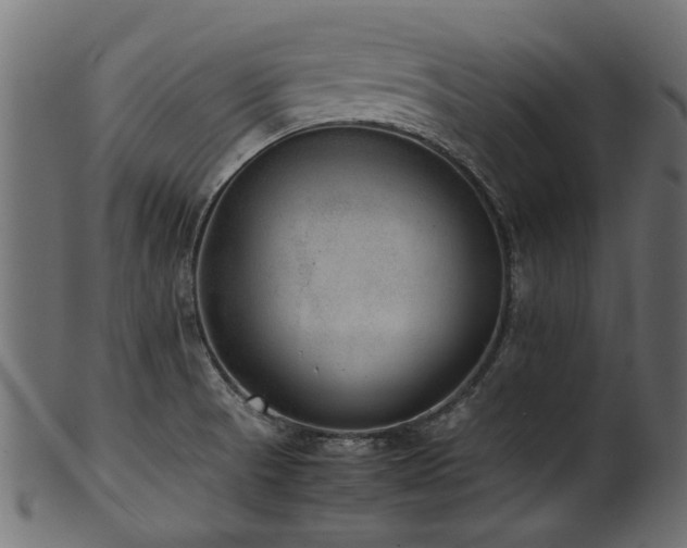 X0000102031521200807181338