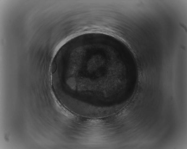 X0000102031522200807181338