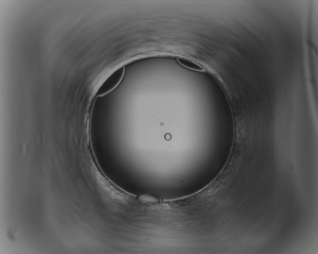 X0000102031524200807181338