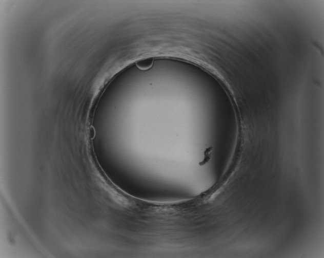 X0000102031525200807181338