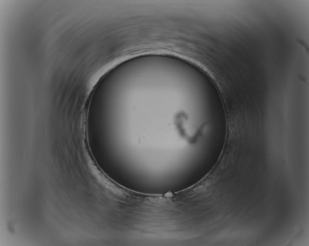 X0000102031526200807181338