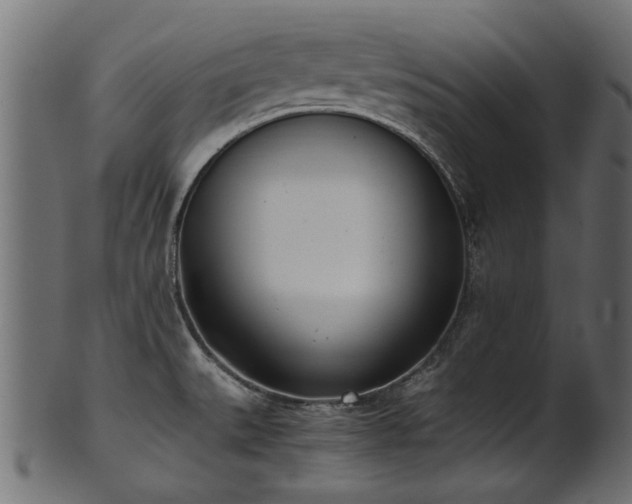 X0000102031527200807181338