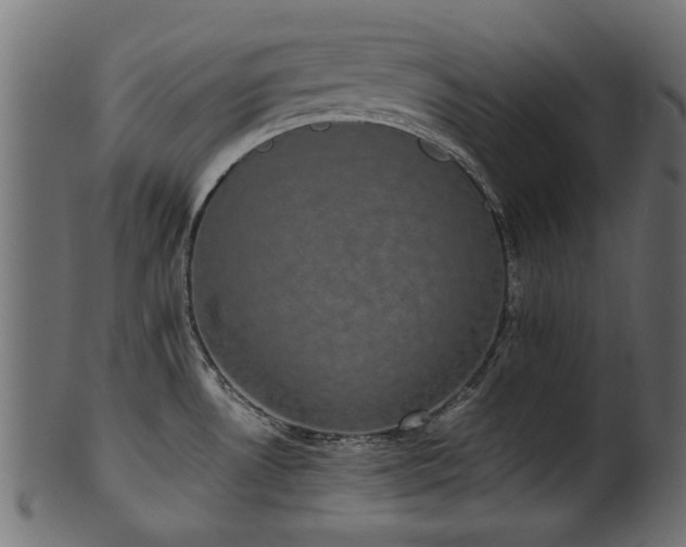 X0000102031530200807181338