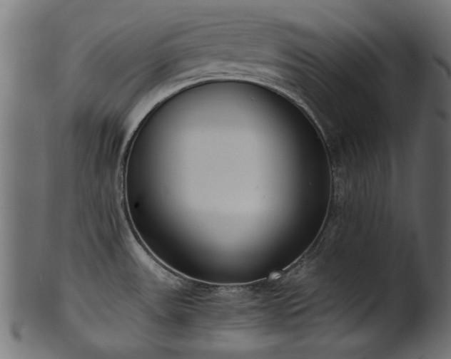 X0000102031531200807181338