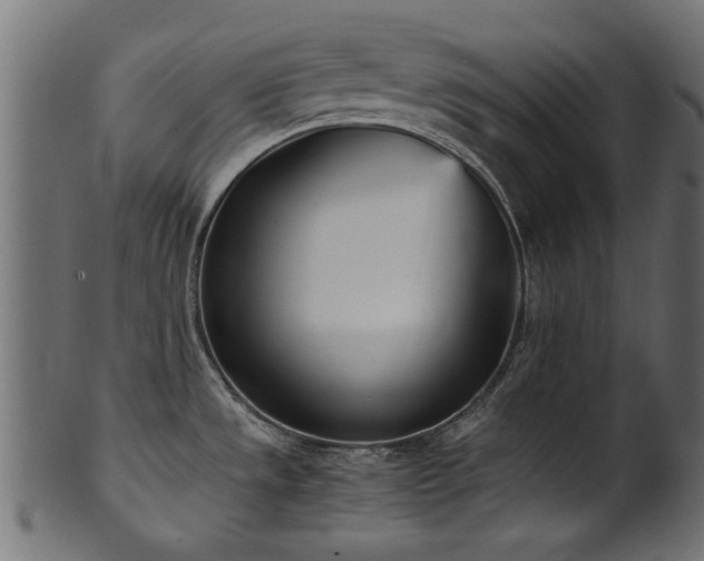 X0000102031533200807181338