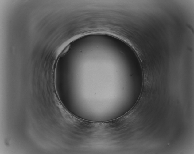 X0000102031534200807181338