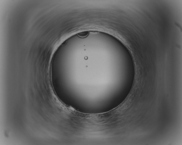 X0000102031536200807181338