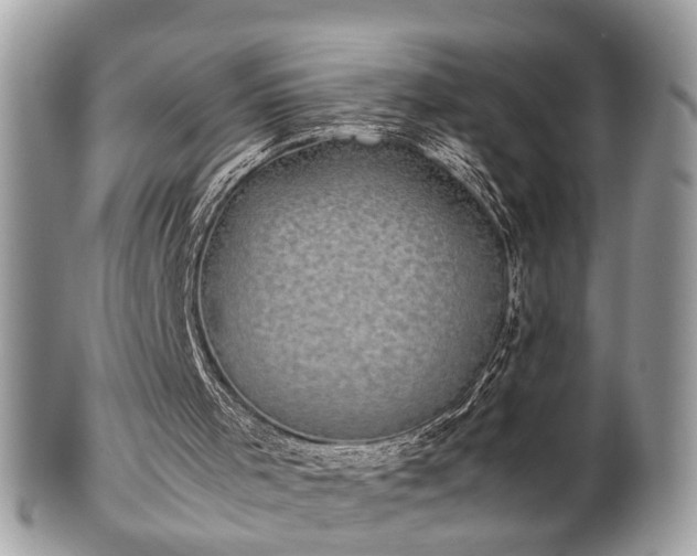 X0000102030001200807251401