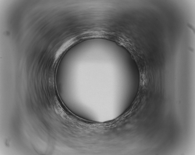 X0000102030004200807251401