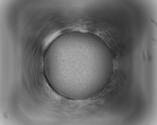 X0000102030005200807251401