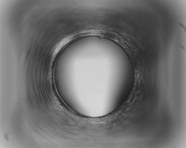 X0000102030006200807251401