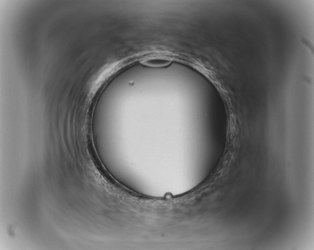 X0000102030007200807251401