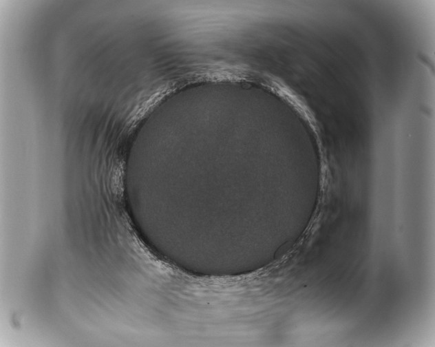 X0000102030009200807251401