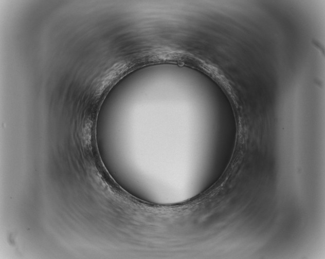 X0000102030010200807251401