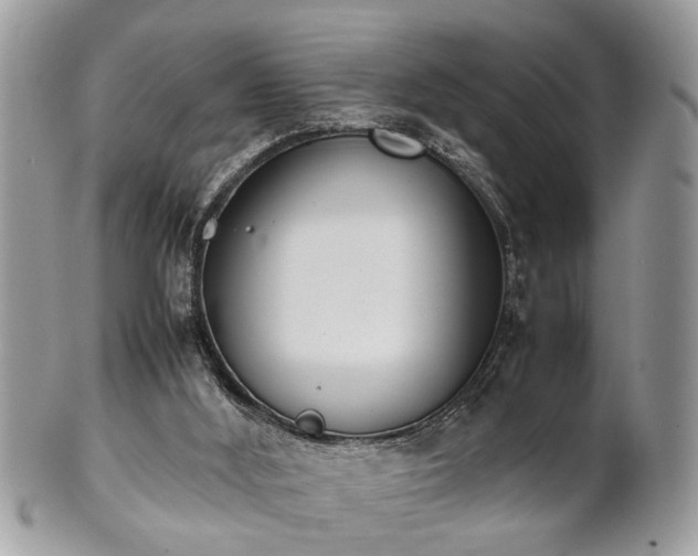 X0000102030012200807251401