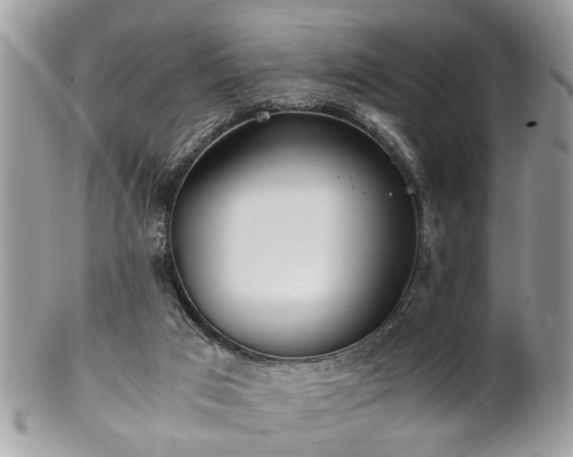 X0000102030017200807251401