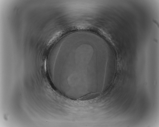 X0000102030019200807251401