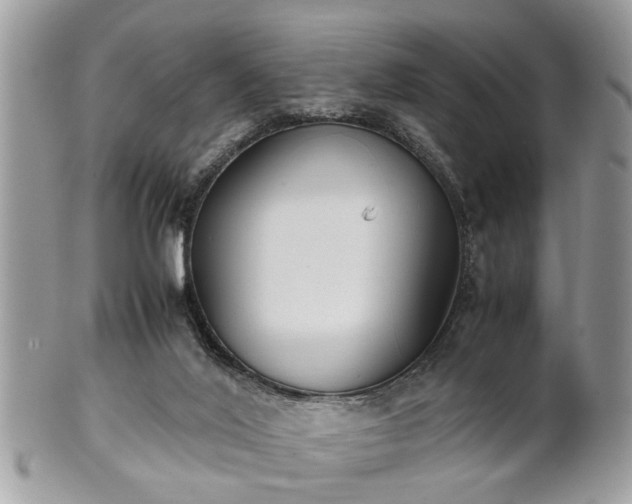 X0000102030020200807251401