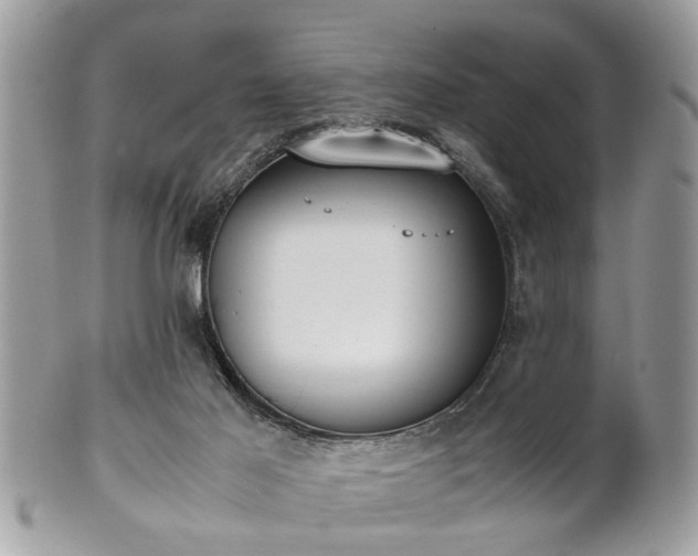 X0000102030021200807251401