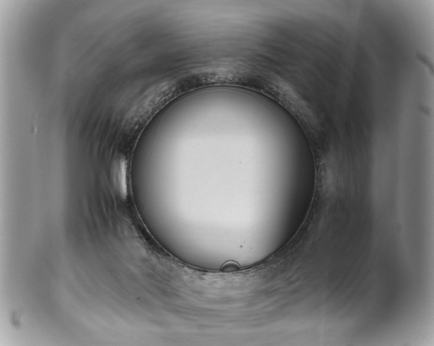 X0000102030022200807251401